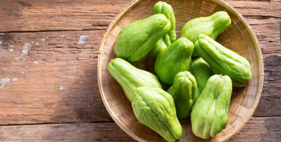 Health-Benefits-of-Chayote-Essential-Nutrients