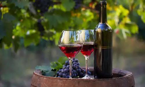 Red Wine is Good for Microbiota - a good or bad news?