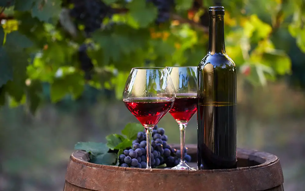 Red Wine is Good for Microbiota - a good or bad news?