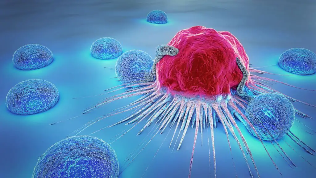 Cancer cells are one of the common health problems