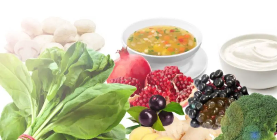 Foods that Boost your Immune System
