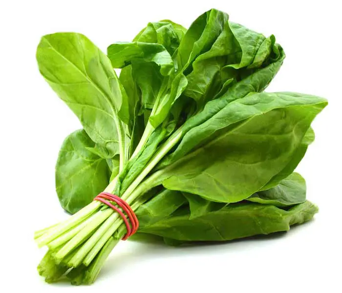 Foods that boost your immune system Spinach