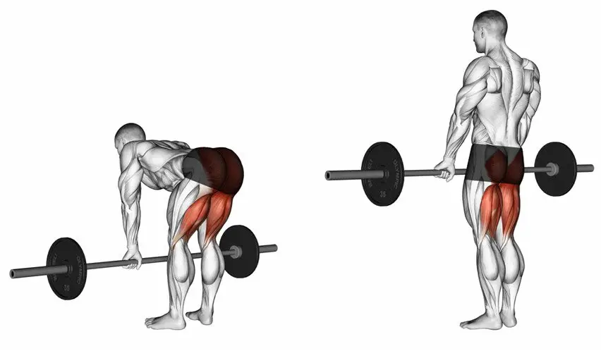 deadlift is working on simultaneously