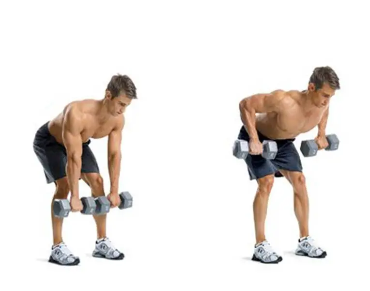 full body workout Bent-Over Row