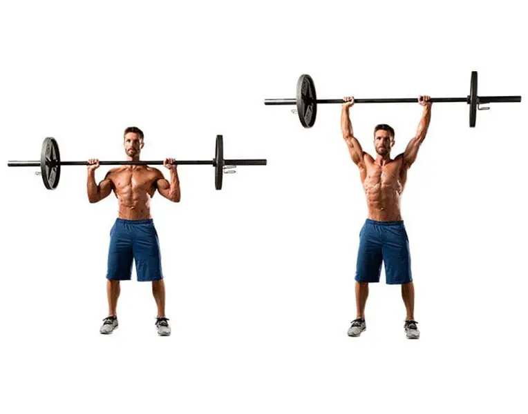 overhead press can increase the muscle mass