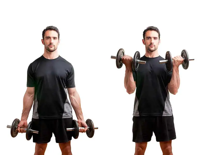 Dumbbell Curl in Standing Position